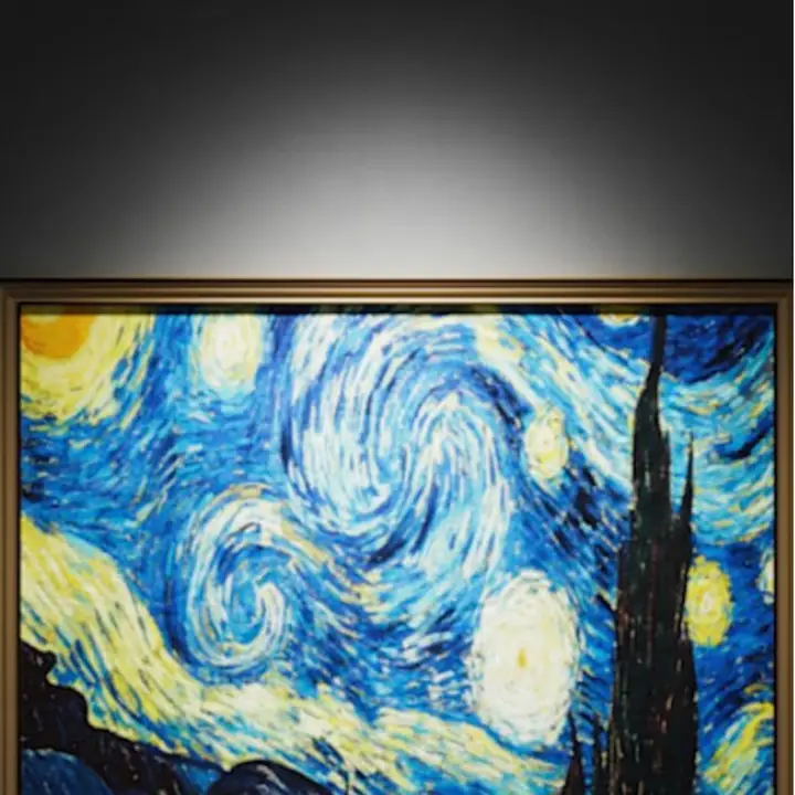 Fly downlight lighting a framed painting on a dark wall