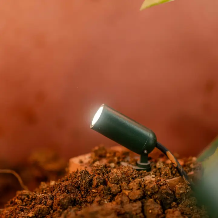 Oslo spike light staked into a bed of soil